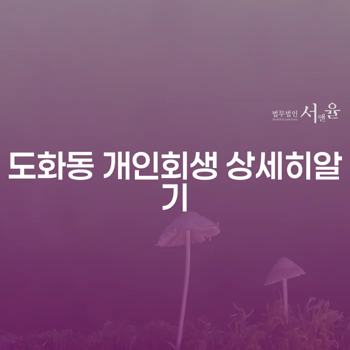 도화동 개인회생 상세히알기