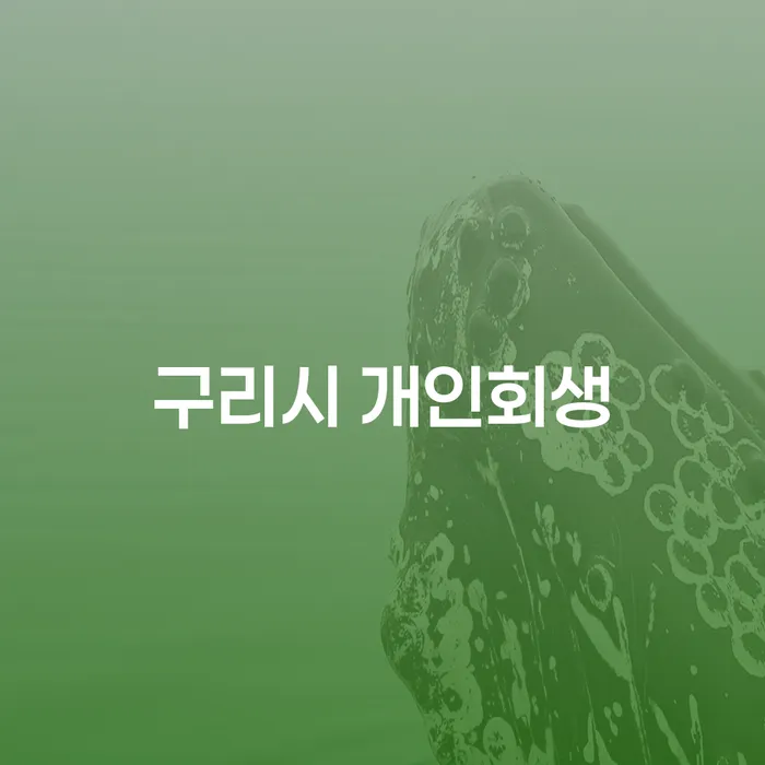 구리시 개인회생과 완주군 개인회생사무소, 무엇을 선택할까?